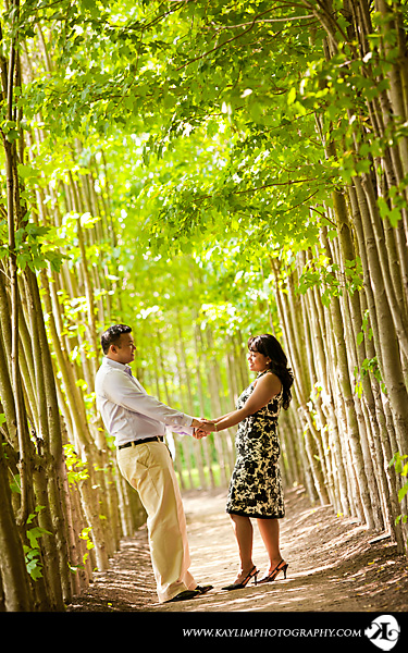 PamVichetEngagement_06